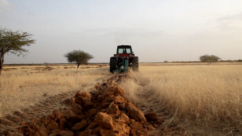 L’Importanza del Recupero delle Terre Desertificate nel Sahel