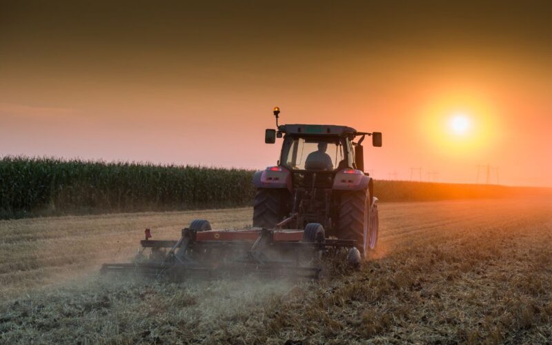 La Cooperazione Internazionale: Seminare Futuro, Coltivare Pace